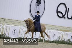 25R13_03583 thumbnail