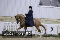 25R13_03586 thumbnail