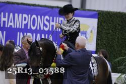 25R13_03588 thumbnail