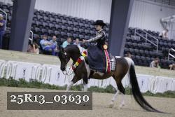 25R13_03630 thumbnail