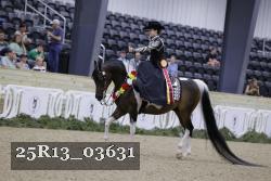 25R13_03631 thumbnail