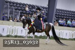 25R13_03632 thumbnail