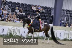 25R13_03633 thumbnail