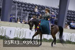 25R13_03635 thumbnail