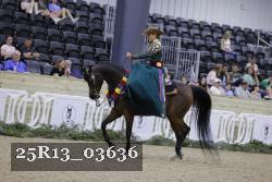 25R13_03636 thumbnail