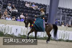 25R13_03637 thumbnail