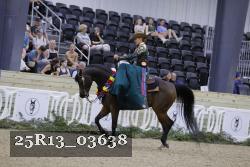25R13_03638 thumbnail