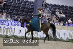 25R13_03640 thumbnail