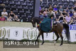 25R13_03641 thumbnail