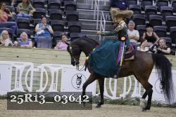 25R13_03642 thumbnail