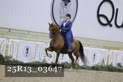 25R13_03647 thumbnail