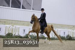 25R13_03651 thumbnail