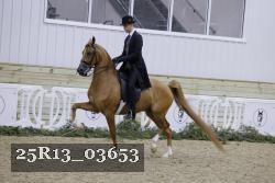 25R13_03653 thumbnail