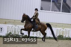 25R13_03655 thumbnail