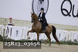 25R13_03658 thumbnail