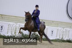 25R13_03661 thumbnail