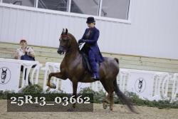 25R13_03662 thumbnail