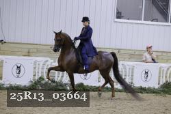 25R13_03664 thumbnail