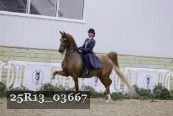 25R13_03667 thumbnail