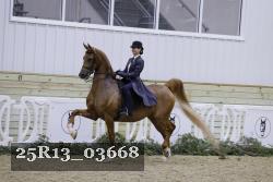 25R13_03668 thumbnail