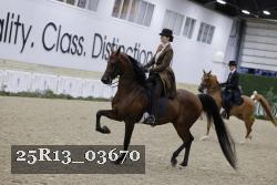 25R13_03670 thumbnail