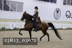 25R13_03672 thumbnail