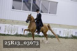 25R13_03673 thumbnail