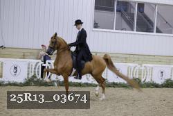 25R13_03674 thumbnail