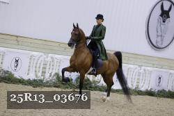 25R13_03676 thumbnail