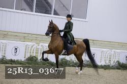 25R13_03677 thumbnail