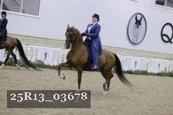 25R13_03678 thumbnail