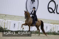 25R13_03680 thumbnail
