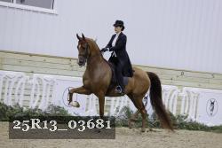 25R13_03681 thumbnail