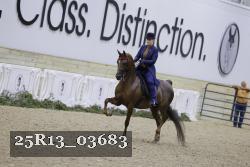 25R13_03683 thumbnail