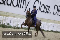 25R13_03684 thumbnail