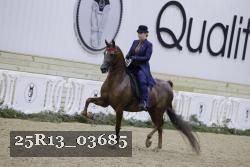 25R13_03685 thumbnail