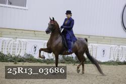 25R13_03686 thumbnail