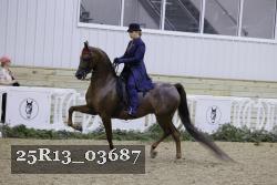 25R13_03687 thumbnail