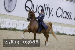 25R13_03688 thumbnail
