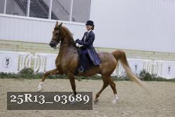 25R13_03689 thumbnail