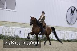 25R13_03690 thumbnail