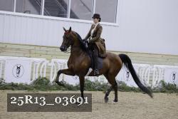25R13_03691 thumbnail
