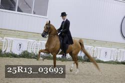 25R13_03693 thumbnail