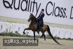25R13_03694 thumbnail