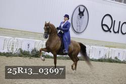 25R13_03697 thumbnail