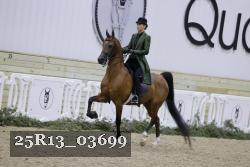25R13_03699 thumbnail