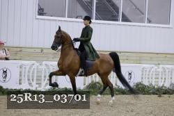 25R13_03701 thumbnail