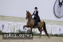 25R13_03703 thumbnail