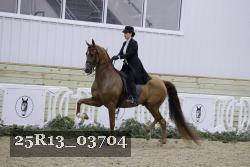 25R13_03704 thumbnail