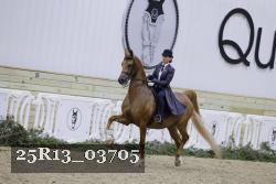 25R13_03705 thumbnail